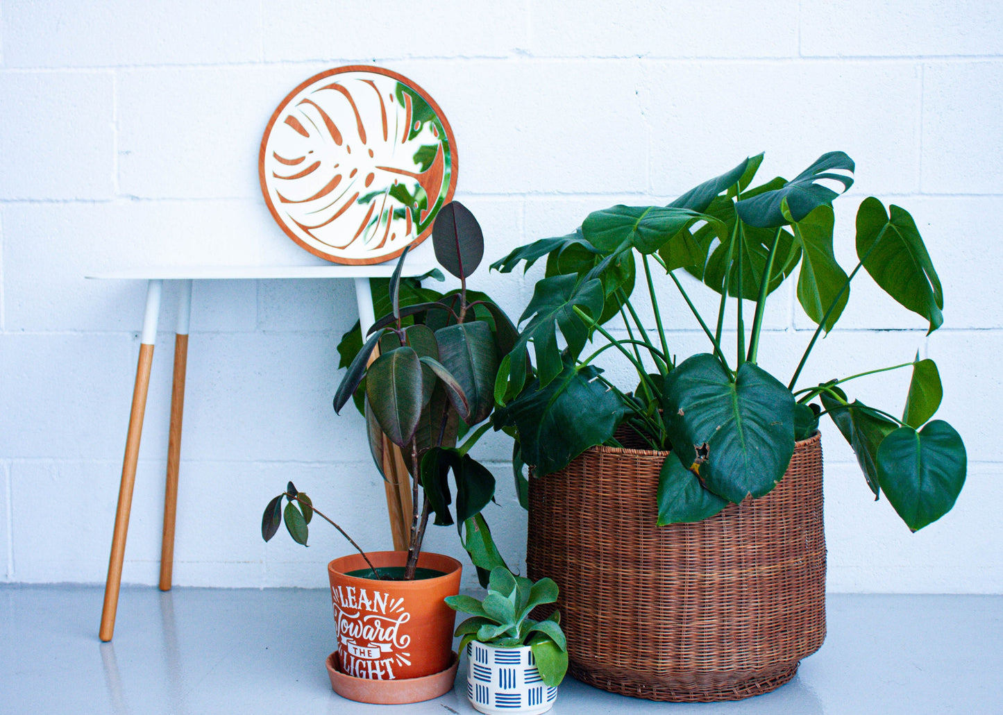 Wood Round Monstera Mirror, Decorative Plant Mirror, Gift for Daughter