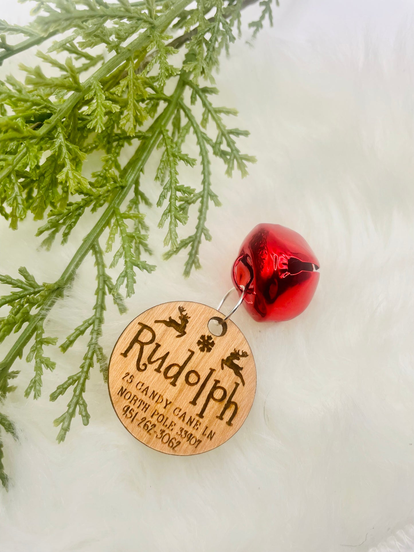 Rudolph’s Lost Tag